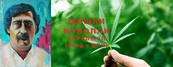 индика Балахна