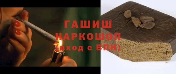 индика Балахна