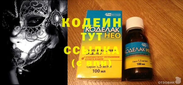 индика Балахна