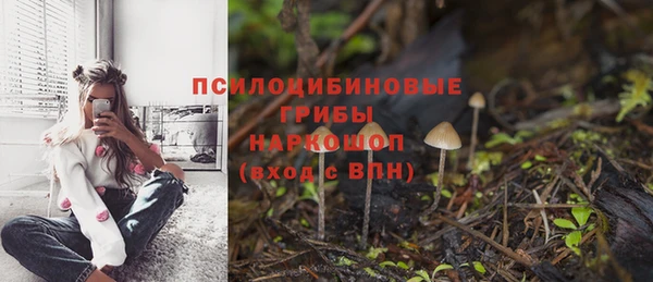 индика Балахна