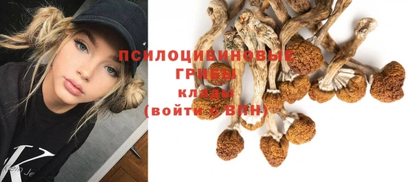 дмт Аркадак