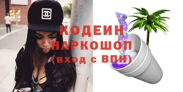 индика Балахна