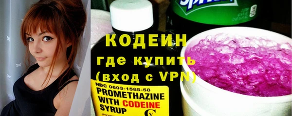 индика Балахна