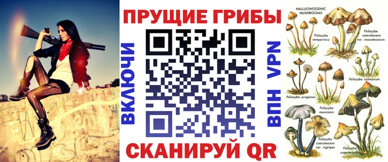 Псилоцибиновые грибы MAGIC MUSHROOMS  закладка  Буй 